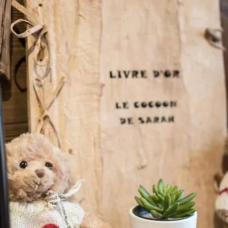Le Cocoon De Sarah Appartement Chamonix Buitenkant foto